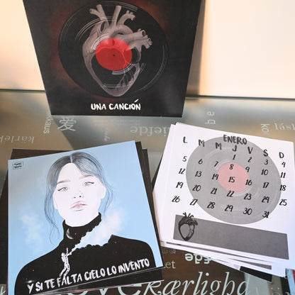 Calendario Ilustrado Vinilo